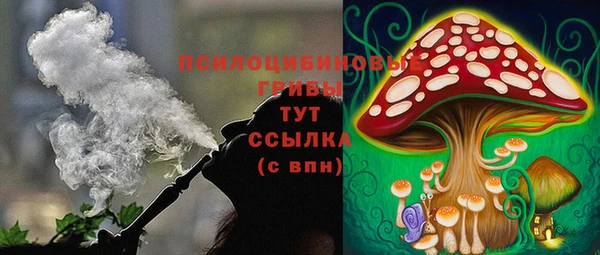 мескалин Алексин